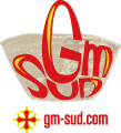 Grand-marché du Sud