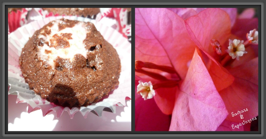 Cupcakes chamallow