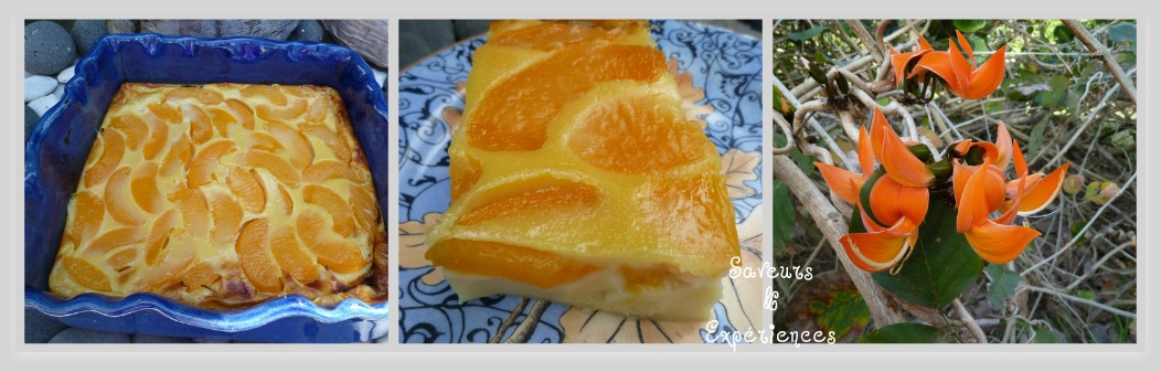 Flan aux Pêches