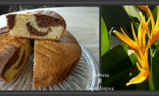 Gâteau au Yaourt Marbré Chocolat