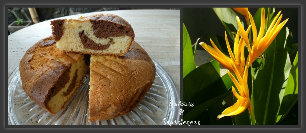 Gâteau au yaourt et Chocolat