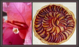 Recette Tarte aux Prunes