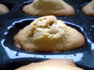 Madeleines à la pâte de Spéculoos