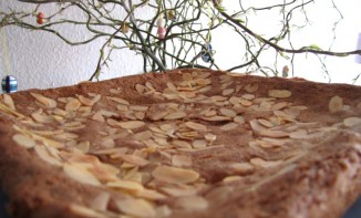 Gâteau à la farine d'épeautre et au chocolat