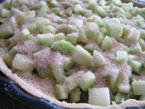 Tarte à la rhubarbe meringuée