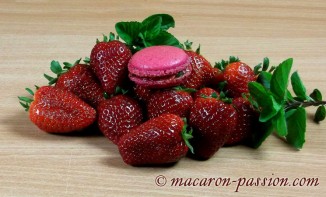 Macarons fraise et menthe