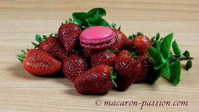 Macarons fraise et menthe