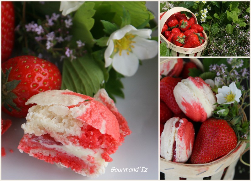 Macarons bicolores, ganache au chocolat blanc au thym et fraises