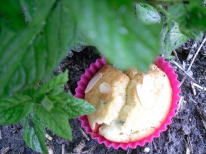 Muffins fraises et menthe