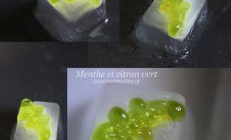 Glaçons avec des bonbons crocodiles