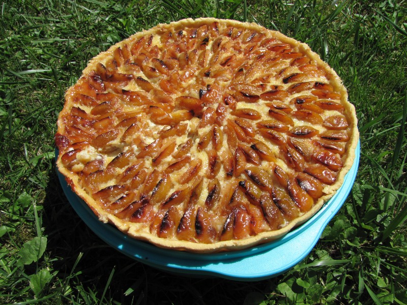 Tarte à la mirabelle