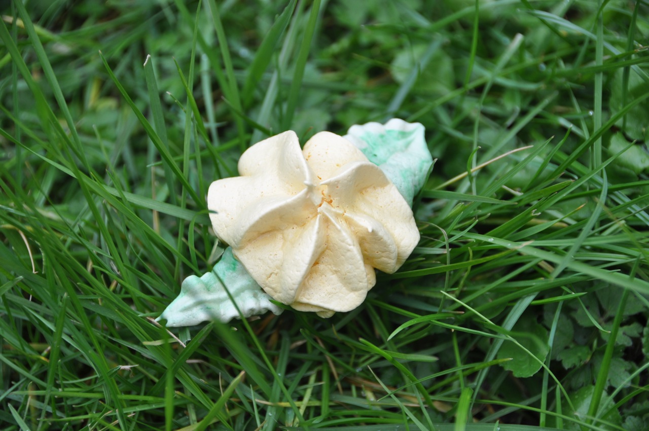 Meringue printanière au citron et au thé vert