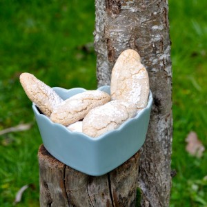 Biscuits cuillère pain d'épices