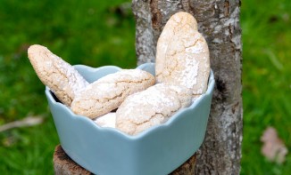 Biscuits cuillère pain d’épices