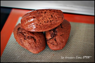 Madeleines chocolat