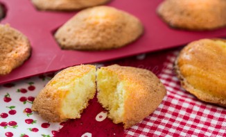 Madeleines au miel