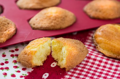 Madeleines au miel