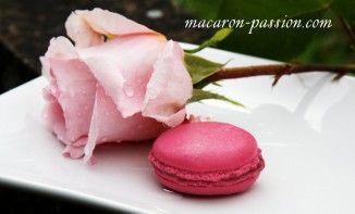 Macarons à la gelée de roses