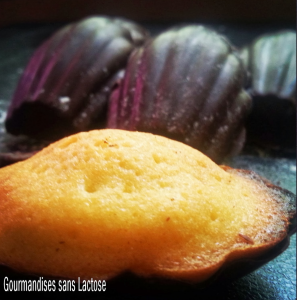 Madeleines Citron en Coque Chocolat Noir sans Lactose