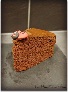gâteaux au chocolat sans gluten et sans lait