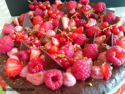 Fondant Chocolat aux Fruits Rouges sans Lactose