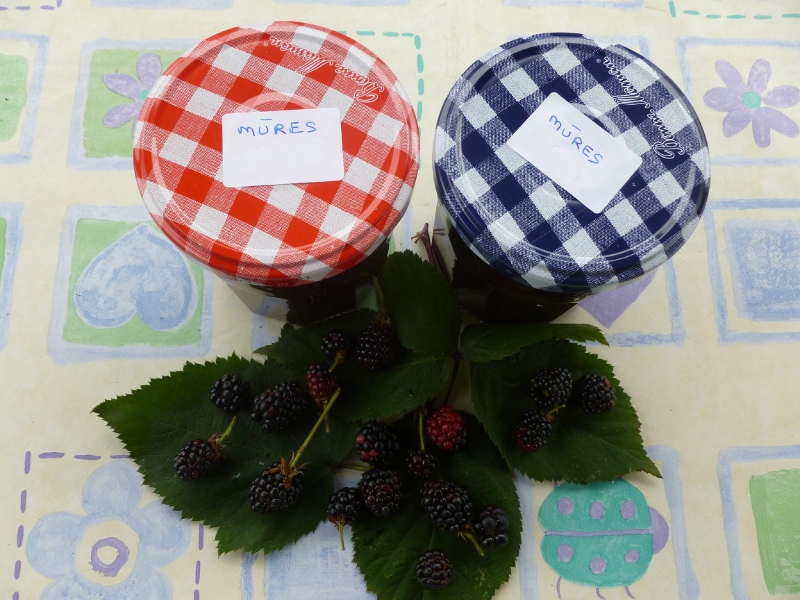 Confiture de mûres