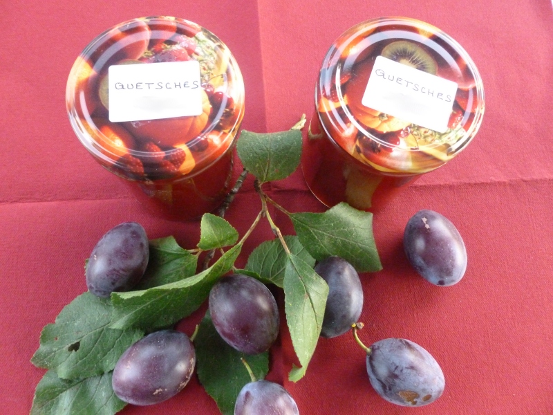 confiture de quetsches