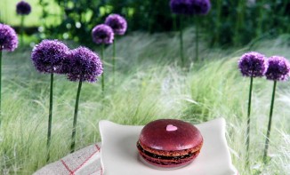 Macarons mûre litchi