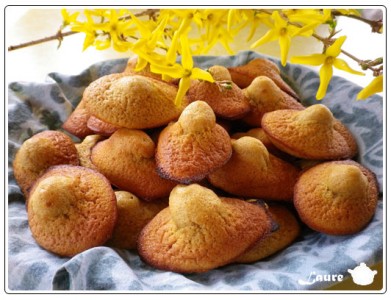 Madeleines au rhum