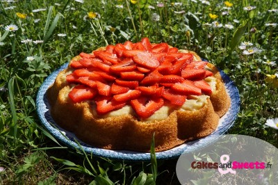 Gâteau Fraises Curd Citron Menthe