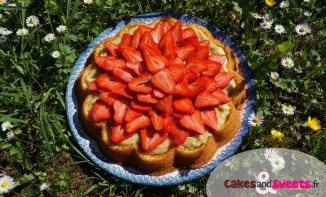 Gâteau Fraises Curd Citron Menthe