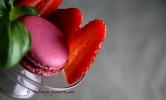 Macarons fraises basilic