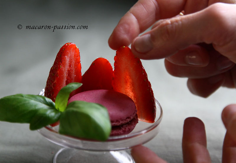 Macarons fraises basilic