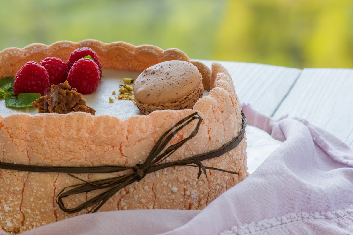 Charlotte framboises chocolat sur lit de dacquoise amandes noisettes