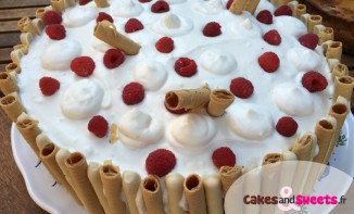 Layer Cake Framboises