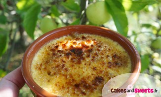 Crèmes Brûlées aux Pommes