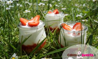 Cheesecake Fraise Rhubarbe