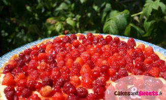 Biscuit renversé aux Framboises